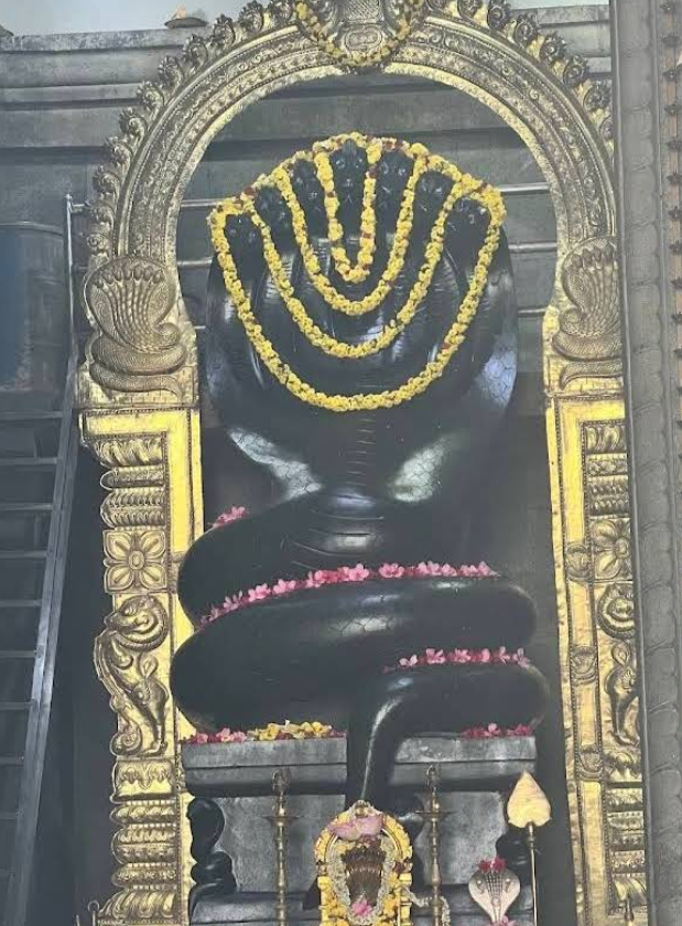 Shri Mukthi Naga Kshetra